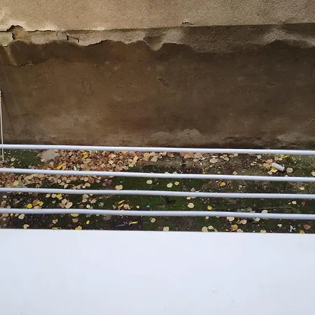 Majt דירה בלגרד